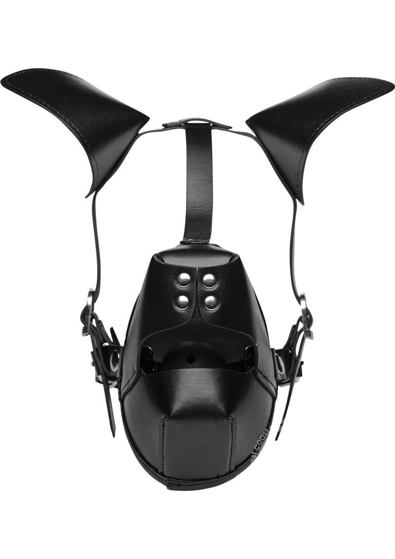 MASTER SERIES PUP PLAY HOOD + BALL GAG