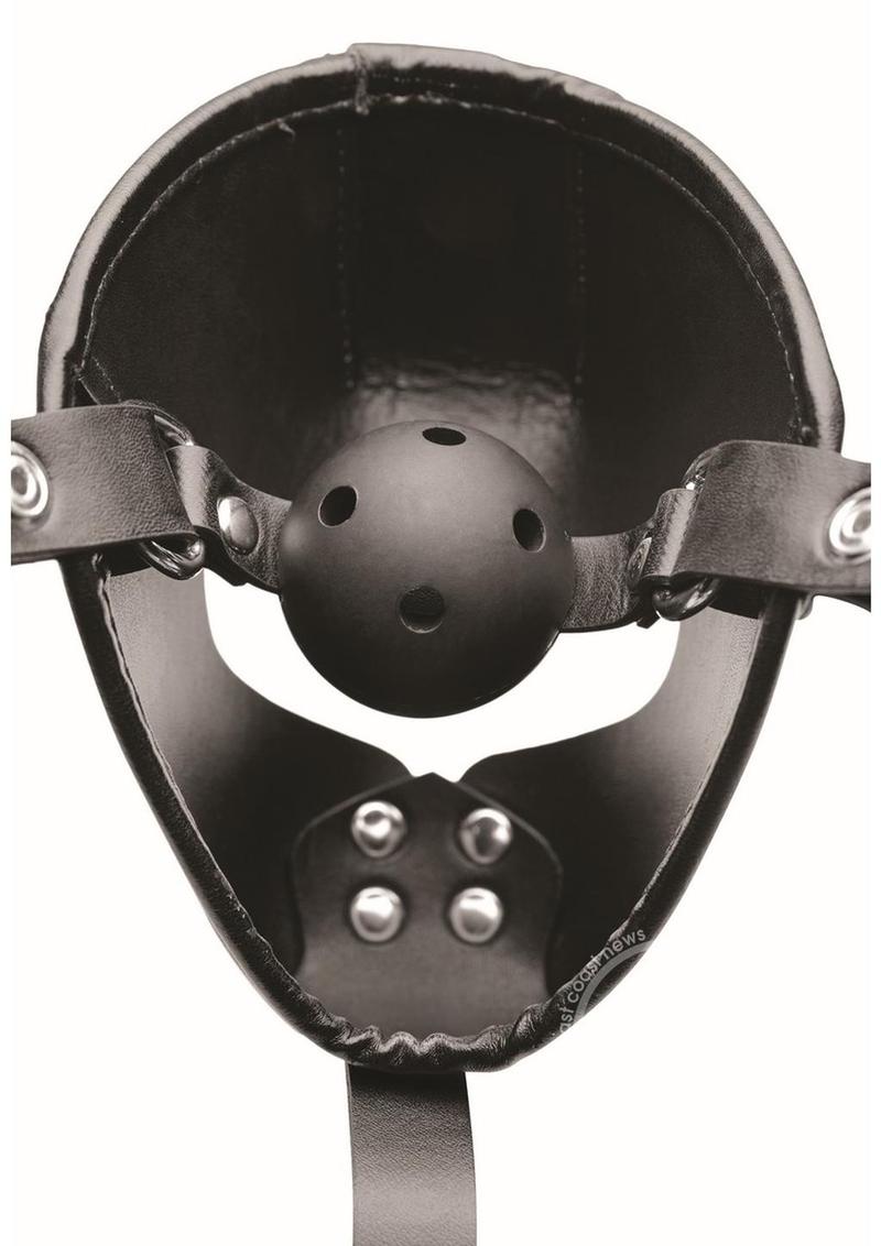 MASTER SERIES PUP PLAY HOOD + BALL GAG