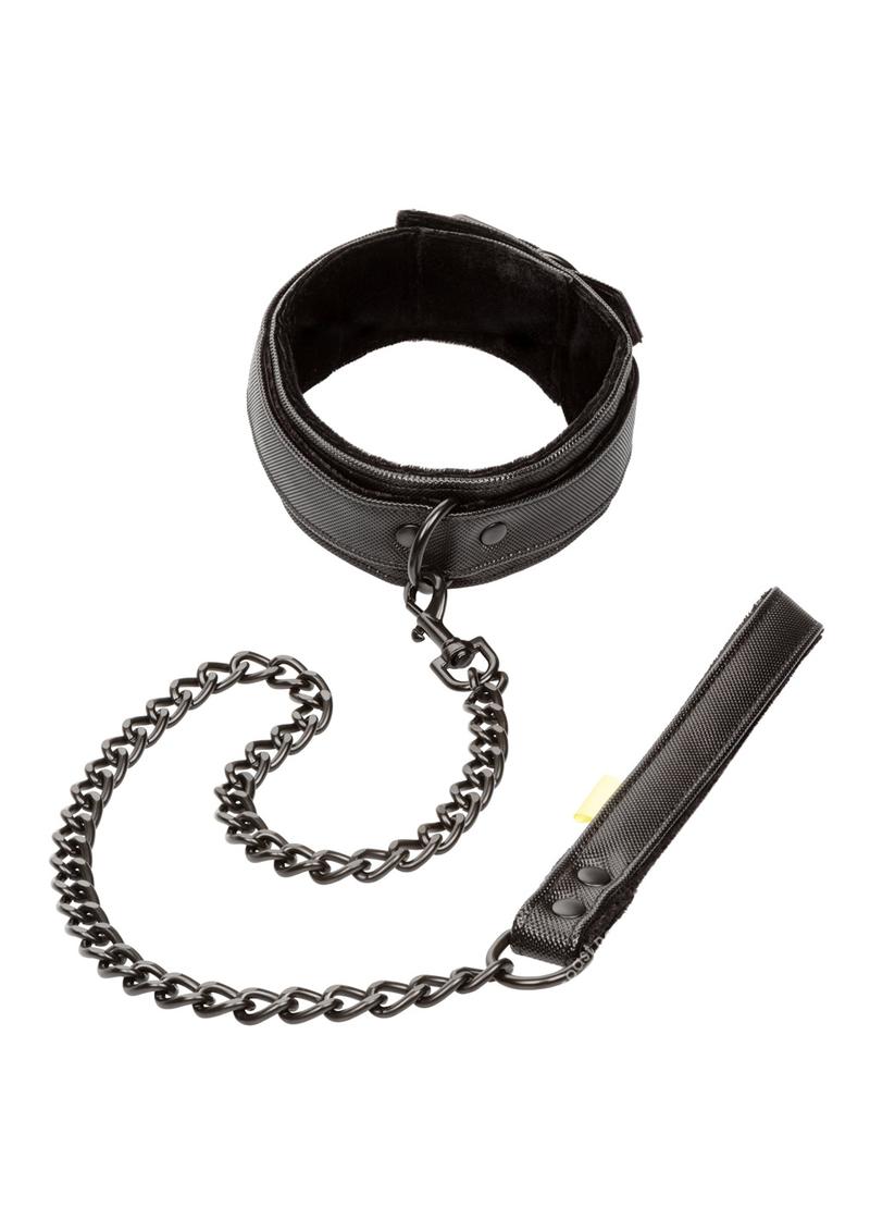 Boundless Collar & Leash