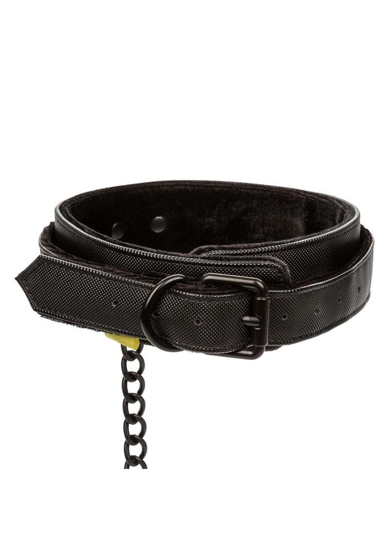 Boundless Collar & Leash