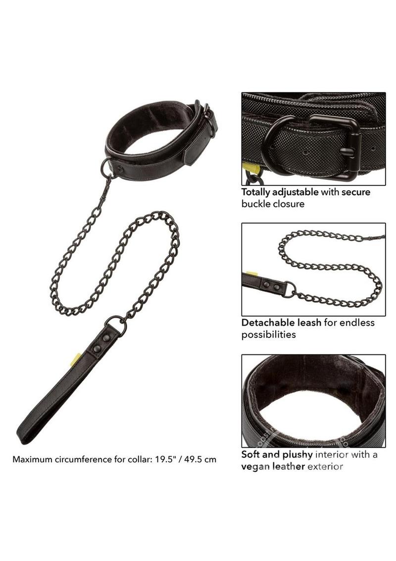 Boundless Collar & Leash