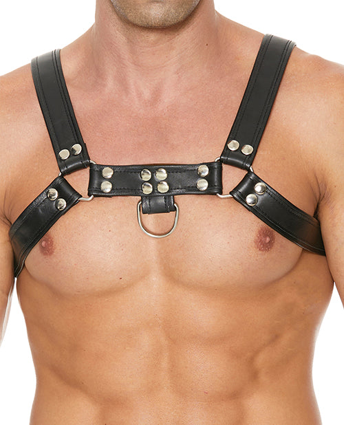 BO CHEST BULLDOG HARNESS/BLACK L/XL